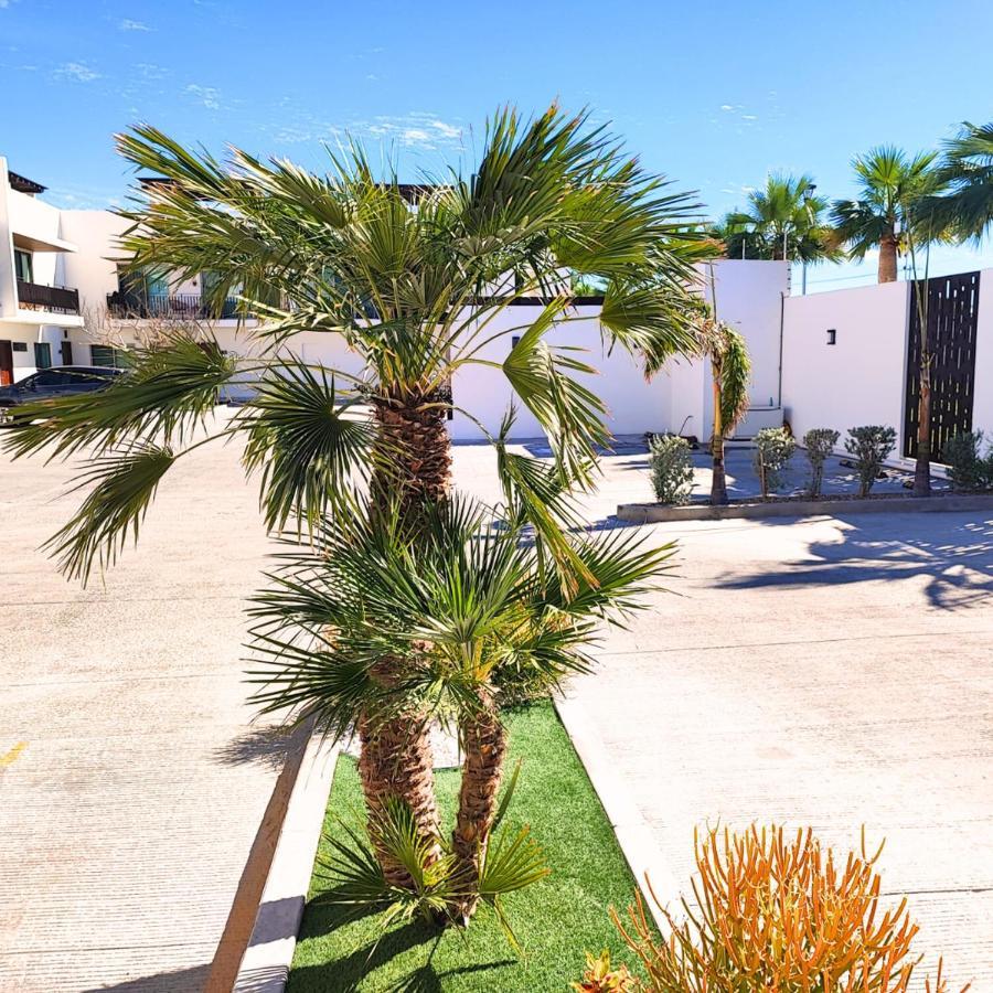 Costa Azul Sunnyadventuretravel Daire La Paz Dış mekan fotoğraf